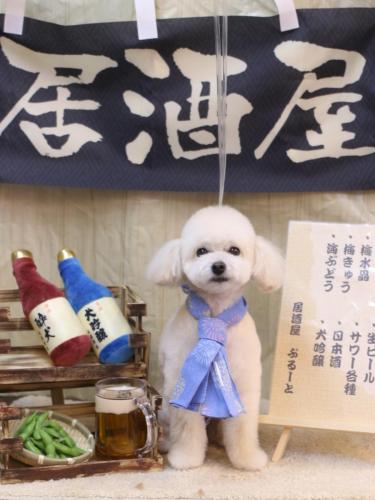 20240619ポコちゃん